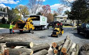 Best Firewood Processing and Delivery  in Laurium, MI